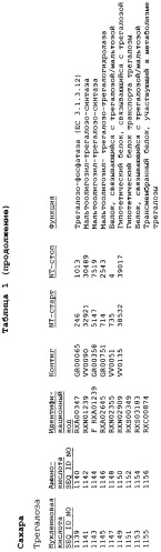 Гены corynebacterium glutamicum, кодирующие белки метаболических путей (патент 2306339)