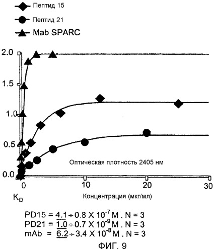 Sparc, связывающийся с scfv (патент 2477728)