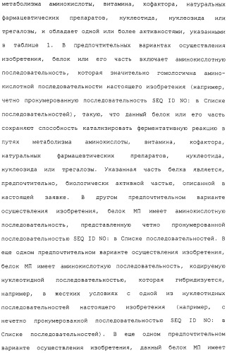 Гены corynebacterium glutamicum, кодирующие белки метаболических путей (патент 2306339)
