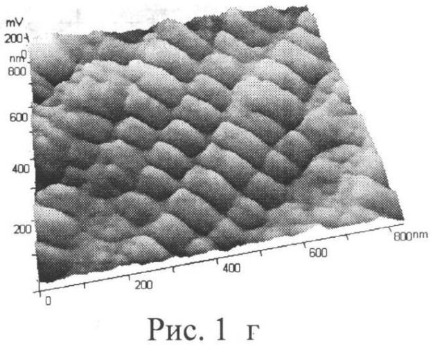Способ моделирования атеросклероза (патент 2545433)