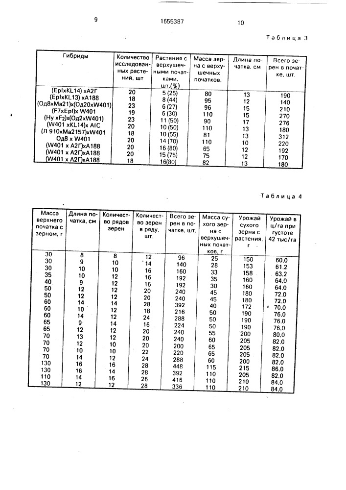 Способ селекции кукурузы (патент 1655387)