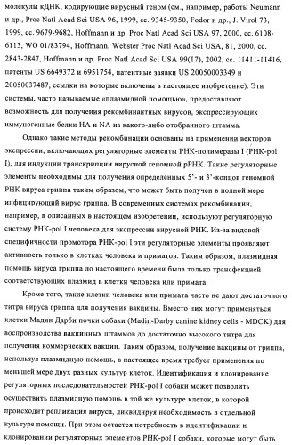 Способы и композиции для экспрессии антисмысловой вирусной рнк в клетках собаки (патент 2457250)
