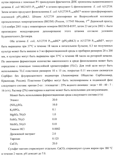 Способ получения l-аминокислоты с использованием бактерии, принадлежащей к роду escherichia (патент 2395579)