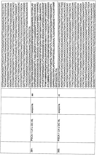 Pscaxcd3, cd19xcd3, c-metxcd3, эндосиалинxcd3, epcamxcd3, igf-1rxcd3 или fap-альфаxcd3 биспецифическое одноцепочечное антитело с межвидовой специфичностью (патент 2547600)