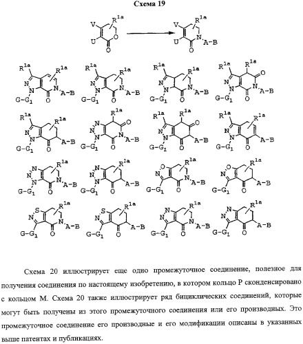 Лактамсодержащее соединение и его производные в качестве ингибиторов фактора xa (патент 2345993)