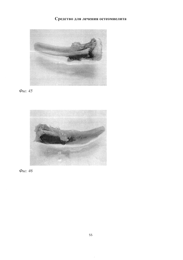 Средство для лечения остеомиелита (патент 2604124)