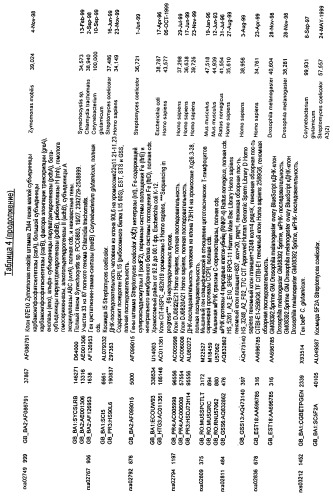 Гены corynebacterium glutamicum, кодирующие белки, участвующие в синтезе мембран и мембранном транспорте (патент 2312145)