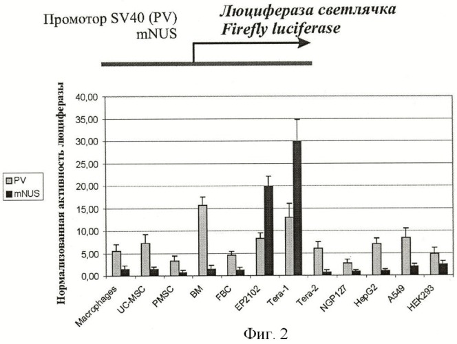 Средство для генной терапии злокачественных опухолей (патент 2447150)