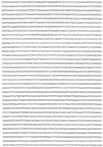 Применение s1p (патент 2362565)