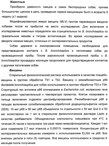 Поливалентные вакцины для собак против leptospira bratislava и других патогенов (патент 2400248)