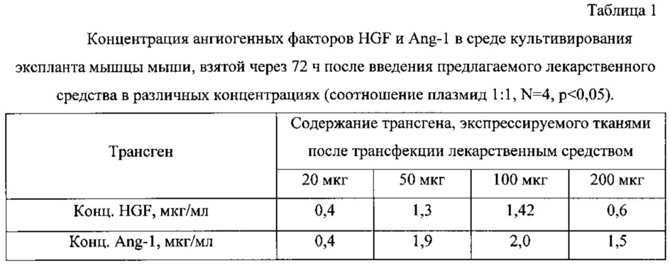 Способ стимуляции ангиогенеза в ишеминизированных тканях и комбинированное лекарственное средство для осуществления способа (патент 2628706)