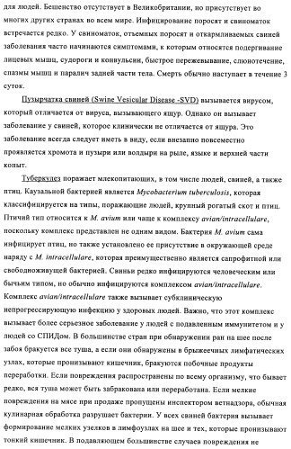 Поливалентные иммуногенные композиции pcv2 и способы получения таких композиций (патент 2488407)