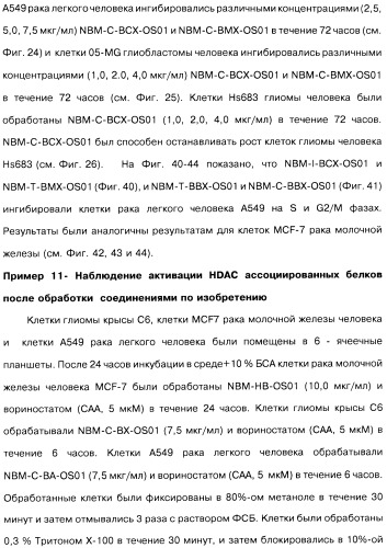 Соединения коричной кислоты (варианты), промежуточные соединения для их получения, фармацевтическая композиция на их основе, способ ингибирования гистоновой деацетилазы, способ лечения диабета, способ лечения опухоли или заболевания, связанного с пролиферацией клеток, способ усиления роста аксонов и способ лечения нейродегенеративных заболеваний и спинной мышечной атрофии (патент 2492163)