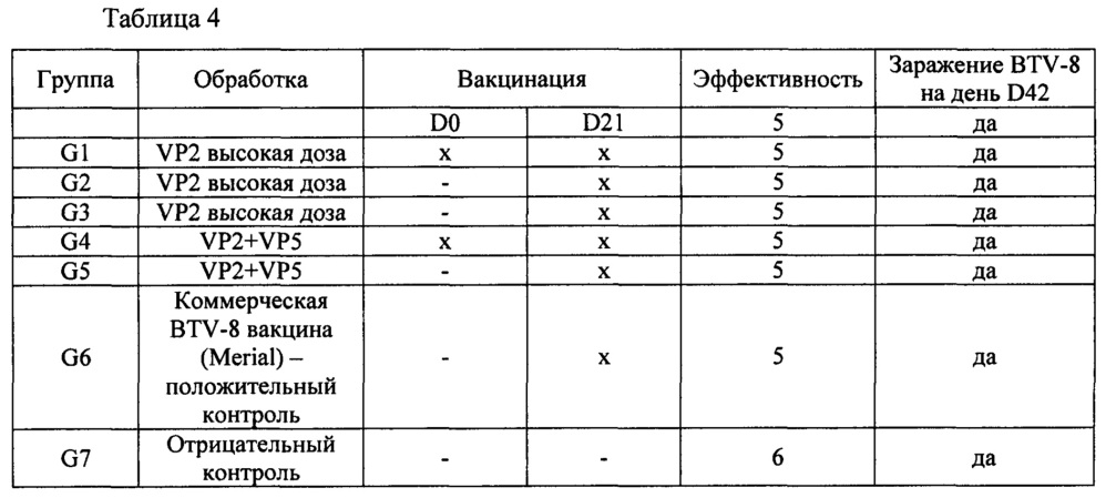 Реассортантные btv и ahsv вакцины (патент 2656187)