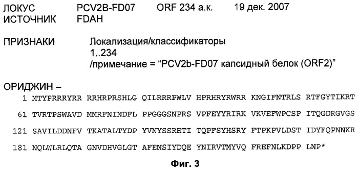 Способы и композиции для иммунизации свиней против свиного цирковируса (патент 2493254)