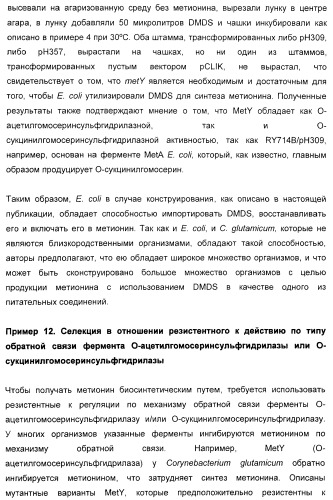 Применение диметилдисульфида для продукции метионина микроорганизмами (патент 2413001)