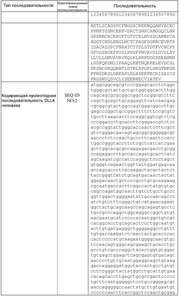 Терапевтические dll4-связывающие белки (патент 2605928)