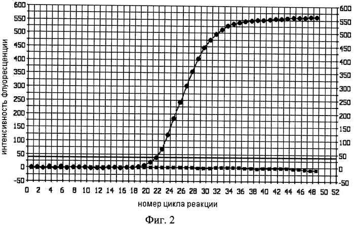 Способ определения наличия &quot;горячего старта&quot; в полимеразной цепной реакции (патент 2346986)