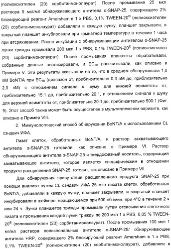 Иммунологические анализы активности ботулинического токсина серотипа а (патент 2491293)