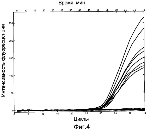 Способ определения нуклеиновых кислот методом полимеразно-цепной реакции в режиме реального времени и устройство для его осуществления (патент 2385940)