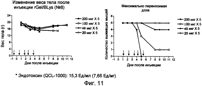 Полипептиды с направленным действием (патент 2393874)