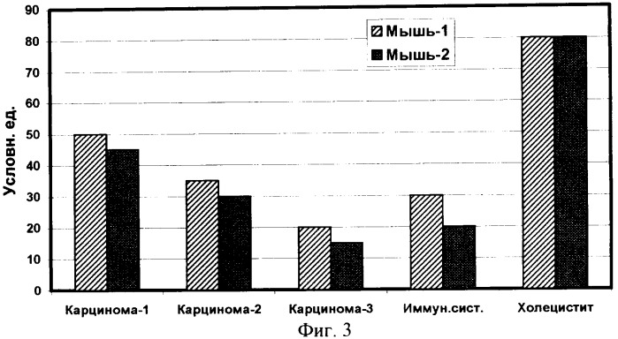 Способ петраша-ильиной электропунктурной оценки воздействия физических, токсических и фармакологических агентов на физиологическое состояние лабораторных животных (крысы, мыши) (патент 2327229)