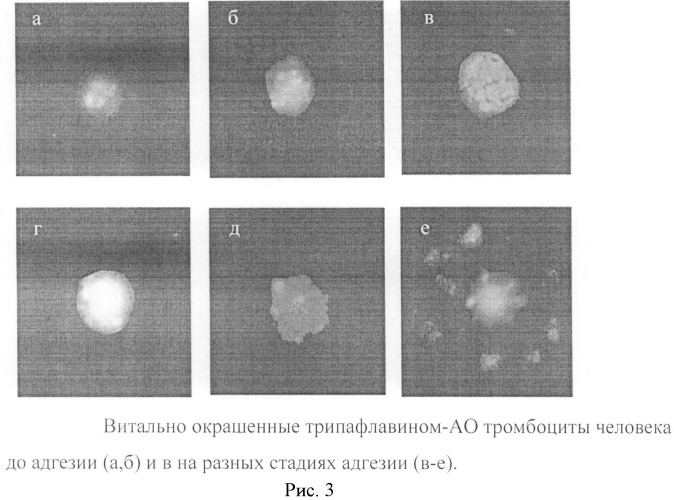 Способ оценки морфофункционального статуса тромбоцитов человека (патент 2485502)