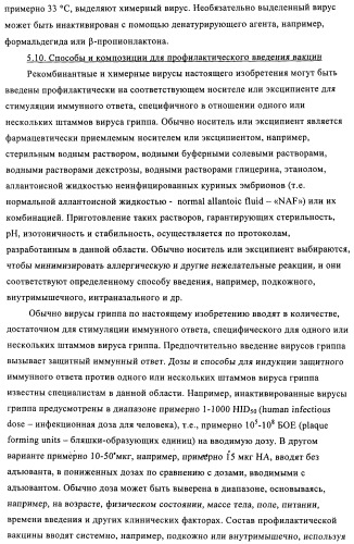 Способы и композиции для экспрессии антисмысловой вирусной рнк в клетках собаки (патент 2457250)