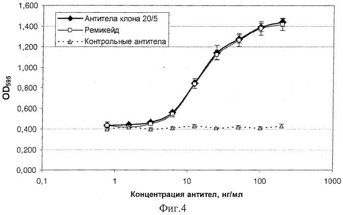 Штамм клеток яичников китайского хомячка - продуцент рекомбинантного антитела против фактора некроза опухоли альфа человека (патент 2556816)