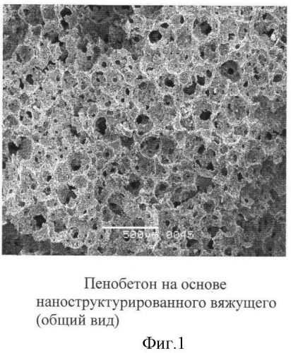 Смесь для пенобетона на основе наноструктурированного вяжущего (варианты), способ изготовления изделий из пенобетона (варианты) (патент 2412136)