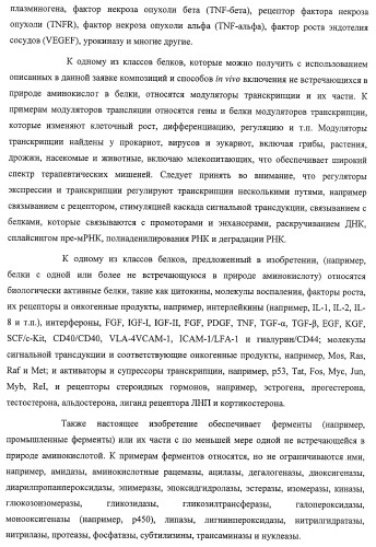 Система экспрессии компонентов ортогональной трансляции в эубактериальной клетке-хозяине (патент 2467069)