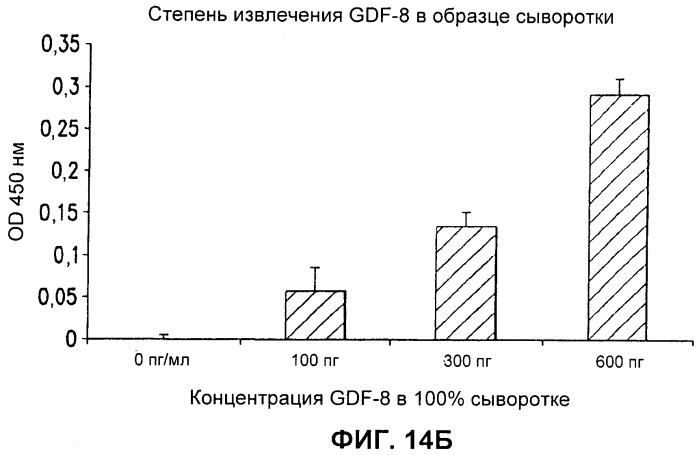 Антитела к gdf8 и их применения (патент 2447084)