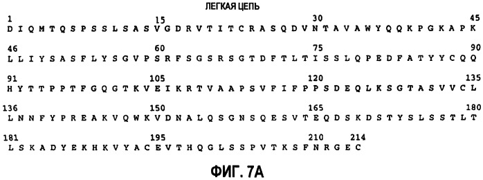 Введение фиксированных доз her-антител (патент 2438705)