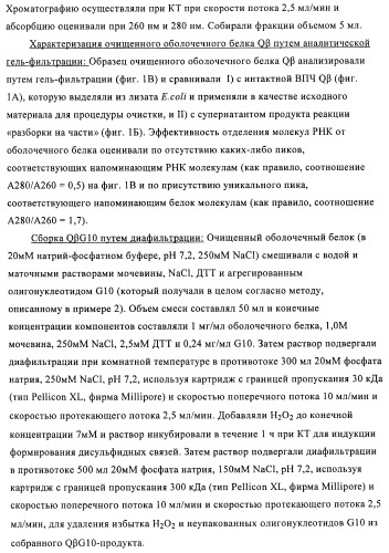 Упакованные иммуностимулирующей нуклеиновой кислотой частицы, предназначенные для лечения гиперчувствительности (патент 2451523)