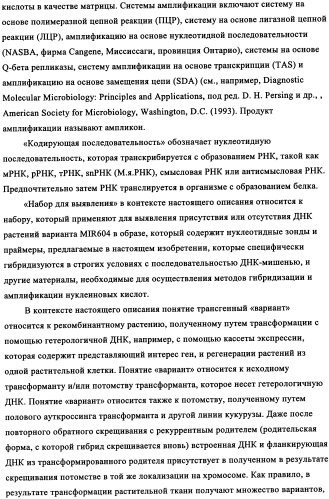 Вариант кукурузы mir604 (патент 2351122)