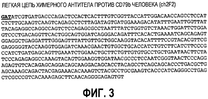 Гуманизированные антитела против cd79b и иммуноконъюгаты и способы применения (патент 2557319)