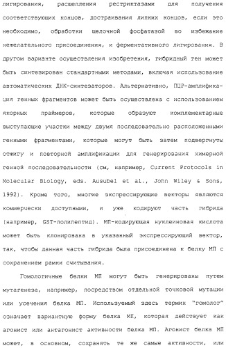 Гены corynebacterium glutamicum, кодирующие белки метаболических путей (патент 2306339)