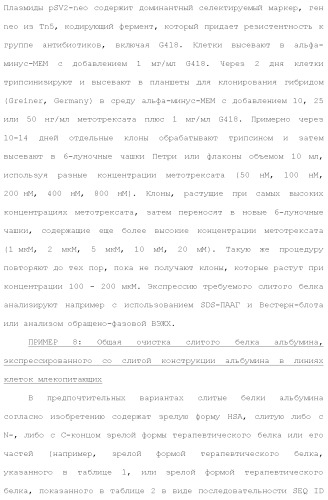 Слитые белки альбумина (патент 2369404)