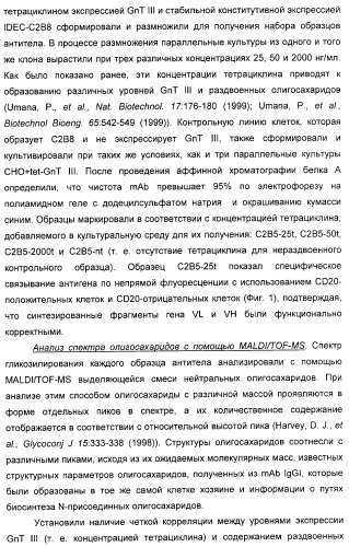 Гликозилированные антитела (варианты), обладающие повышенной антителозависимой клеточной цитотоксичностью (патент 2321630)