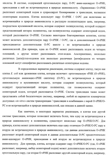 Система экспрессии компонентов ортогональной трансляции в эубактериальной клетке-хозяине (патент 2467069)