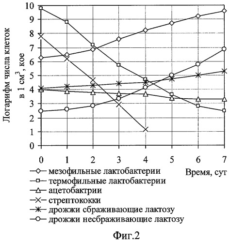 Способ получения симбиотического бактериального концентрата для производства продуктов гетероферментативного брожения (патент 2287939)