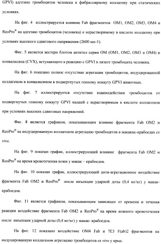 Антитела к гликопротеину vi и способы продуцирования и использования этих антител (патент 2407752)