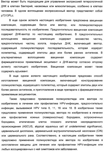 Полинуклеотидная последовательность, кодирующая полипептид вируса папилломы человека, ее применение, а также содержащие ее вектор и фармацевтическая композиция (патент 2354701)