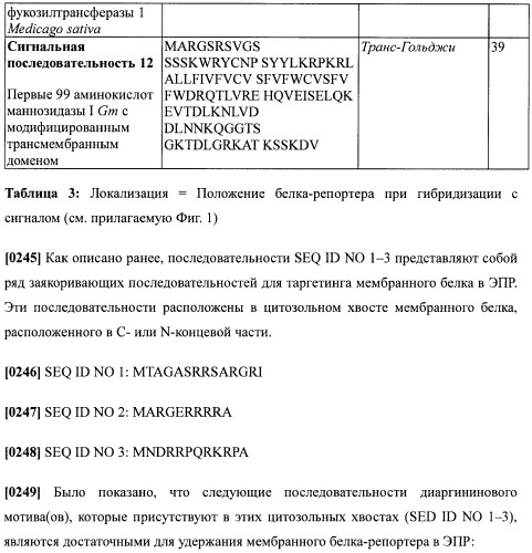 Набор последовательностей для таргетинга экспрессии и контроля посттрансляционных модификаций рекомбинантного полипептида (патент 2481399)