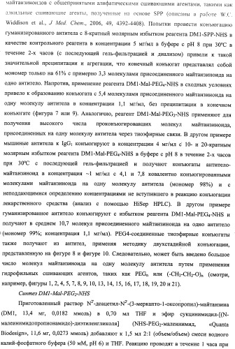 Высокоэффективные конъюгаты и гидрофильные сшивающие агенты (линкеры) (патент 2487877)