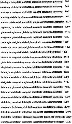 Днк, повышающая продуцирование белка, и ее применение (патент 2375450)