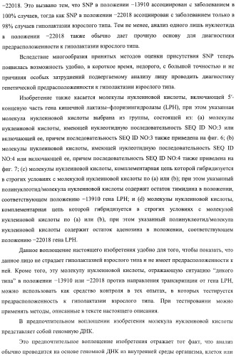 Идентификация варианта днк, связанного с гиполактазией взрослого типа (патент 2391404)