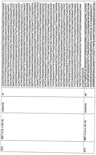 Pscaxcd3, cd19xcd3, c-metxcd3, эндосиалинxcd3, epcamxcd3, igf-1rxcd3 или fap-альфаxcd3 биспецифическое одноцепочечное антитело с межвидовой специфичностью (патент 2547600)