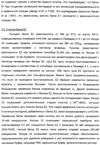 Очищенные оболочечные белки вируса гепатита с для диагностического и терапевтического применения (патент 2319505)