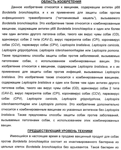 Поливалентные вакцины для собак против leptospira bratislava и других патогенов (патент 2400248)